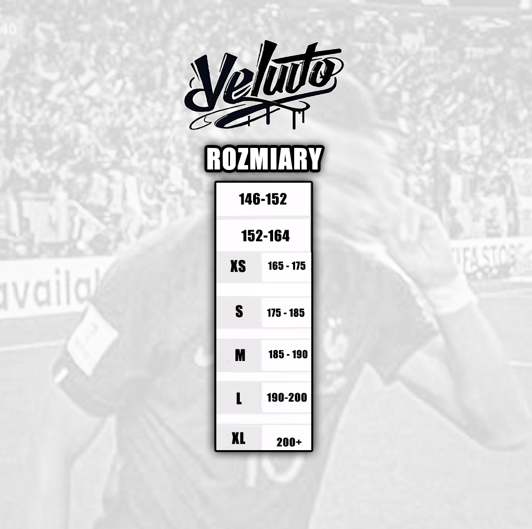 K. MBAPPE KOSZULKA Z TYŁEM